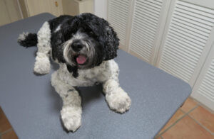 Tisch mit Carlos_1_klein